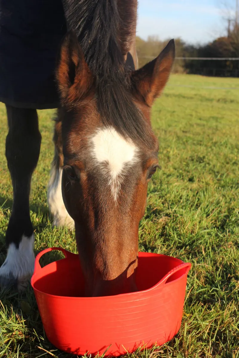Red Gorilla/Tubtrug Small Shallow Gorilla Tub 15L Pink-1